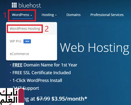 شرح بالصورشراء استضافة Bluehost