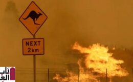 الأمطار تهطل بغزارة لتخمد الحرائق في أستراليا 2020