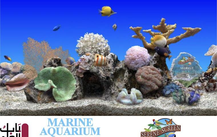 تحميل برنامج SereneScreen Marine Aquarium 3.3.6381.001  نسخه مجانيه