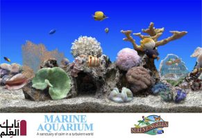 1539514307 marine aquarium