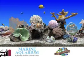 1539514307 marine aquarium