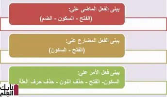 الإعراب والبناء فى الأفعال 1