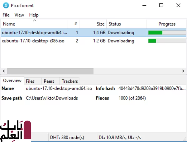 مراجعه شامله لبرنامج التورنت الرائع PicoTorrent 2020