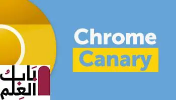 يتيح Chrome Canary الآن للمستخدمين