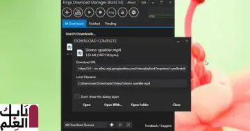 برنامج Ninja Download Manager Free