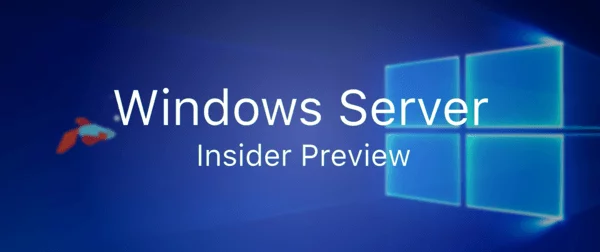 إصدار Windows Server Insider