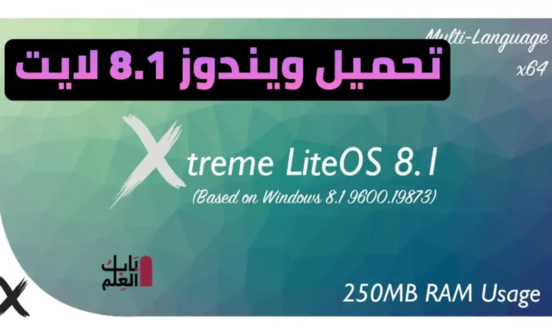 تحميل ويندوز 8.1 لايت 2021 Xtreme LiteOS 8.1  Windows 8.1 Superlite (9600.19873) | Multi-Language x64