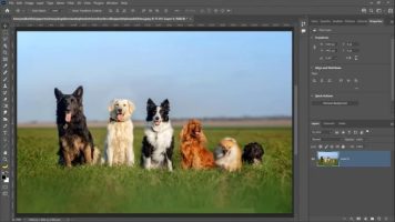 Offline Installer Download Adobe Photoshop 2022 Offline Installer Download Adobe Photoshop 2022