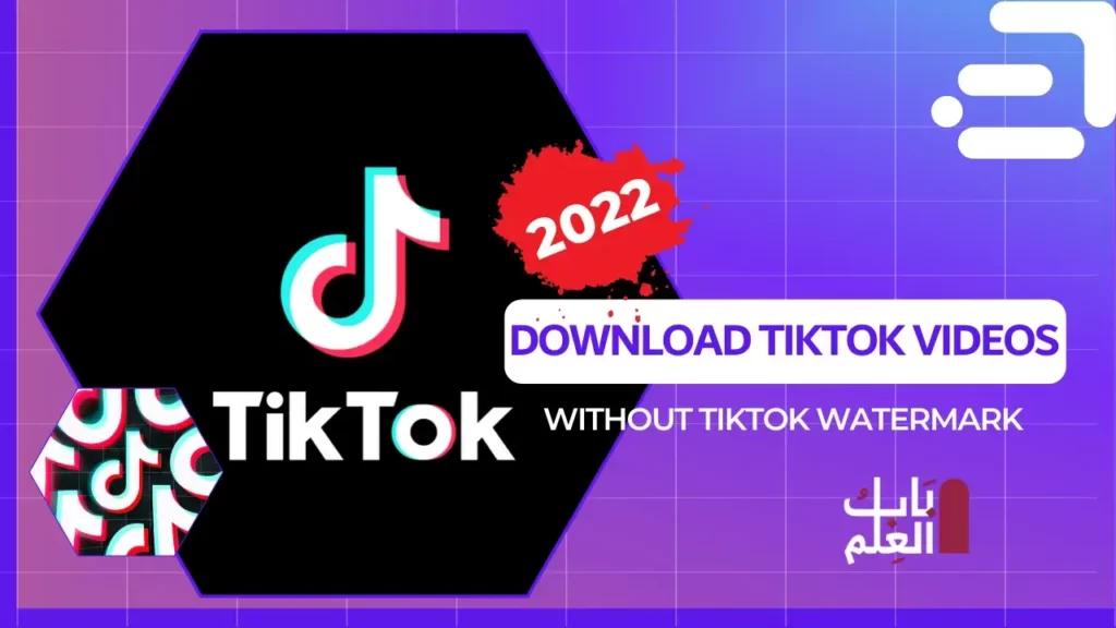 Download Tiktok 2022 Videos 1