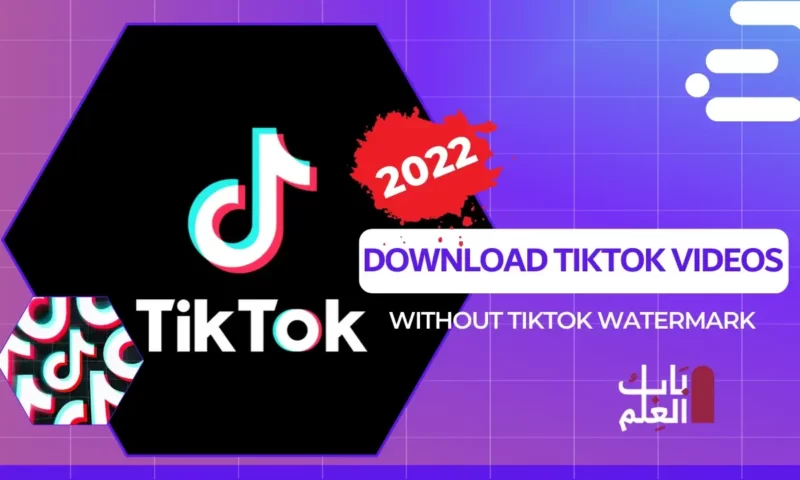 Download Tiktok 2022 Videos without Tiktok watermark￼