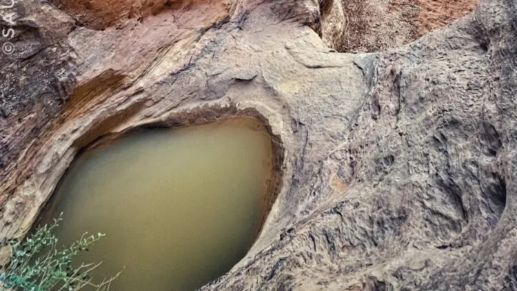 باحثة بريطانية تعثر فى عام 2022 على بركة صخرية مخفية في صحراء السعودية