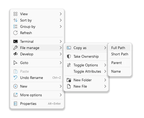 file manage