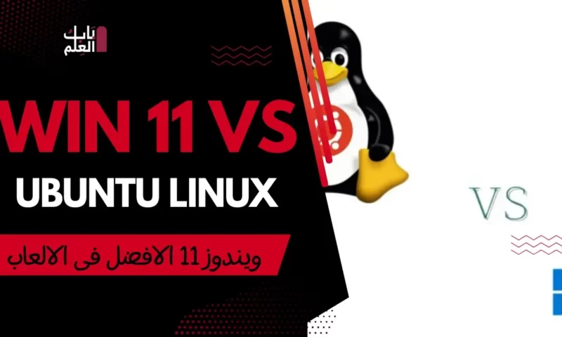 يظهر الاختبار أنك تريد Windows 11 على Ubuntu Linux في عام 2023 عند اللعب على AMD